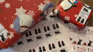 DISTINCTIVS Cat Christmas Gift Tags Overview | Is It Worth the Hype? #ad #amazoninfluencer