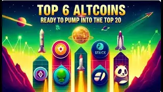 Top 6 Altcoins Ready to Pump into the Top 20
