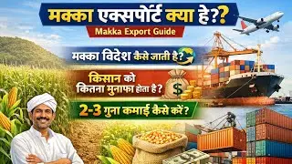 मक्का Export कैसे करें? | Maize Export Full Process | Farmer Profit Guide | Part 1