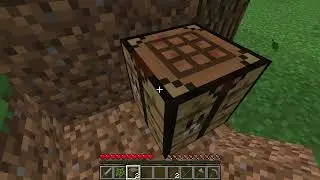 Minecraft server Lone Survivor