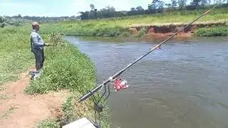 Pesca de lambaris no canal de Jundiapeba em Mogi das Cruzes 