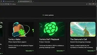 Что такое токен Turtle (turtle.xyz) ($TURTLE) | Обзор токена $TURTLE