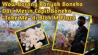 Borong Banyak Boneka Dari Mesin Capit Boneka 