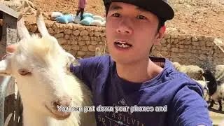 Solo Travel to Iran: Experience local nomadic life.
