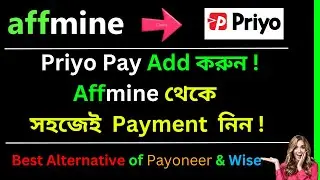 Как получить оплату от Affmine! Payoneer и Wise &mdash; лучшая альтернатива Priyo Pay!