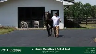 Hip #2386 - Colt by Liam's Map - Heart Full of Soul