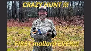 solo Virginia duck hunt (CRAZY)