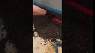 Leichtestrich FLEXestrich 5 Leicht Estrich auf Holz und Beton Spezialestrich Schnellestrich