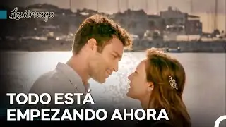 Amantes Finalmente Reunidos - Luciérnaga