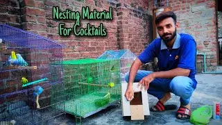 Nesting Material for cocktails | Australian Parrots | Budgies Parrots | Lovebirds
