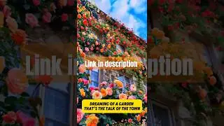 Elegant Climbing Rose Flower Seeds in 200g Pack! #rose #gardeningtips