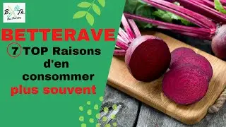 BETTERAVE : TOP 7 BIENFAITS ET VERTUS POUR NOTRE SANTE | BecTherapy