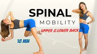 18 min. Daily Spine Mobility Routine | Back Stretch&Posture Reset