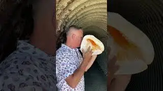 Helmet Shell Demo - Don Chilton #conchshellmusic #conch #conchshell #seashells #seashell