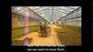 AgriNomix Grow Racks - Growing and Transport System - High Def