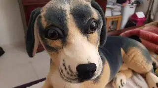 ASMR FAST AND AGGRESSIVE MAKEUP AND HAIRCUT ROLEPLAY ON MY DOG 👀