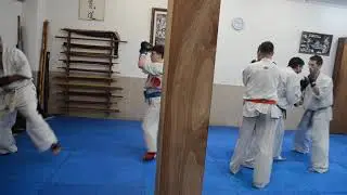 Examen Sekai So Kyokushin Argentina Shoshin dojo  2019DSC 0014