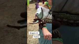 which crochet dragon is your favorite? #crochet #crochetpatterns #renfaire #crochetdragon