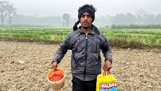 Apne khet me B H c गिराने ja rahe h 🌽 || #vlog #kishan 