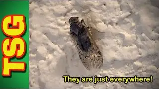 What is this?