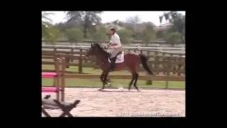 ShowJumperClinic.com Presents Ian Millar Riding & Lecturing Comander sample 3292010