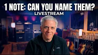 Name These Guitarists From One Note &mdash; Live