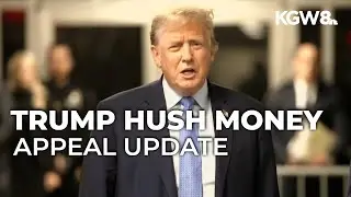 Federal appeals court says Trump should be allowed to fight hush money conviction again