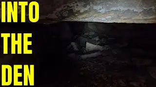 A Tour of Panther Den Wilderness