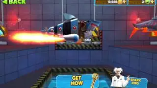 Hungry Shark Evolution - Special Sharks