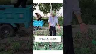 melon blast🤣🤣