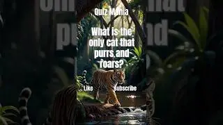 🐆 GENIUS Knows It | Animal Quiz 🐆 #shorts #quiz