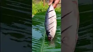 Fish IN Foil Paper 🤤#shorts #food #fishfry #fish #trending #youtubeshorts #shortsfeed #short