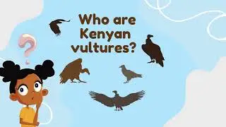 Let&rsquo;s Learn About Vultures