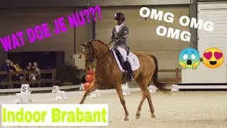 Kur op muziek gaat fout???  | Rijden op INDOOR BRABANT | Drafgekeurd