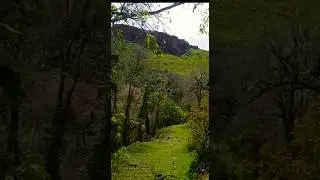 Serene Picnic Settings with Scenic Green Vistas