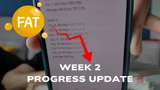 The Easiest Way to Track Fat Loss Progress Accurately - How to Mini Cut Day 14