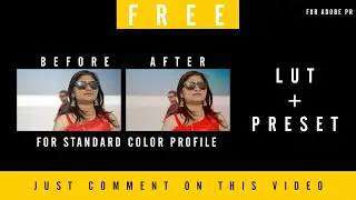 FREE LUT | Simple Color Grading Preset And Lut