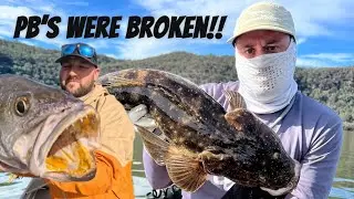 HAWKESBURY RIVER MULLOWAY - SOFT PLASTIC FISHING 