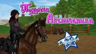 Покупка  Английской чистокровной g2 |Star Stable Online|