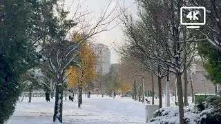 İstanbul'da Kar Manzaraları: K&uuml;&ccedil;&uuml;k&ccedil;ekmece | Snowy Istanbul Lake Walk 4K
