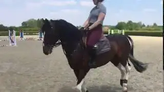 ARNAC D'ELPHEN - Quarantine Training @Lozerhof