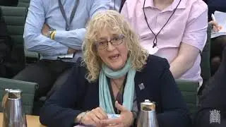 Unite at the Parliamentary Thomas Cook inquiry
