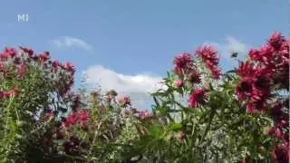 Floriade 2012 - Trailer