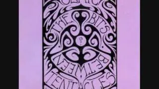 Ozric Tentacles - Symetricum.wmv