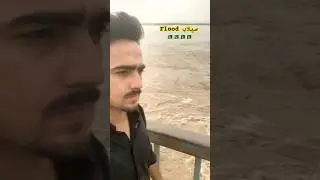 Flood Alert in Pakistan 🇵🇰‼️🚨 #flood #flooding #subscribe#viral#floodnews#shorts