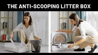 PULLNSCOOP Litter Box
