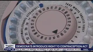 Democrats introduce right to contraception act | FOX 13 Seattle