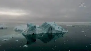Researchers identify behavioral adaptations that may help Antarctic fishes to adapt to warming ocean