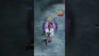 BM Sura with Shaman buff + Dark Protection