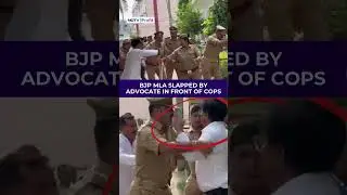 BJP MLA Yogesh Verma Slapped By Bar Association President In Front Of Cops #viral #shorts